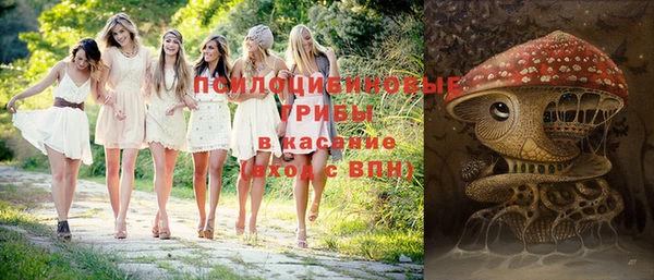 mix Алексин