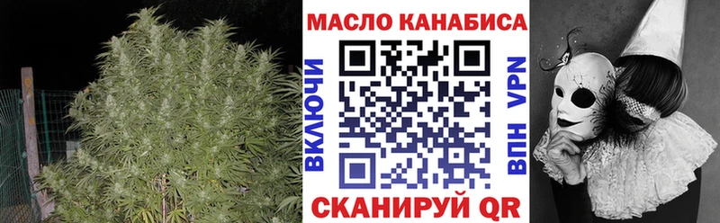 ссылка на мегу зеркало  Шуя  ТГК концентрат  где купить наркотик 