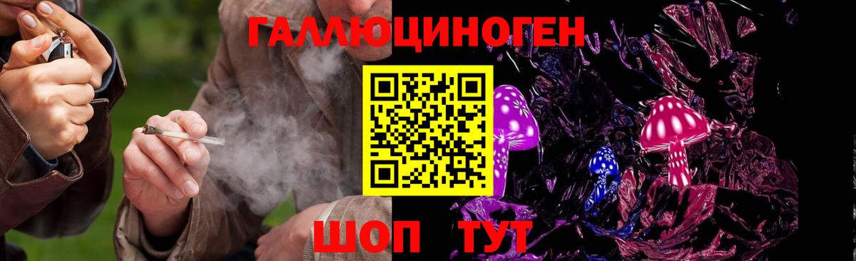 Шуя  Галлюциногенные грибы GOLDEN TEACHER  Вход с VPN  Псилоцибиновые грибы Psilocybine cubensis 