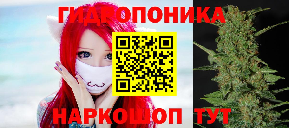 Каннабис планчик  Марихуана ГИДРОПОН  МАРИХУАНА LSD WEED  Шуя  Вход с VPN 